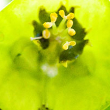 在线教育平台的ddos流量攻击购买