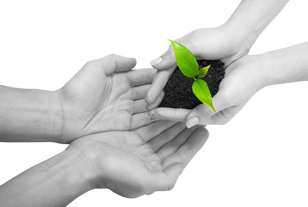 发卡网安全的ddos免费测试