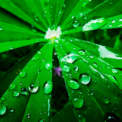 怎么去攻击一个网站与防护