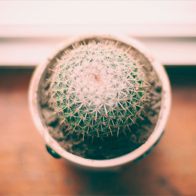 无需付费激活的网页端ddos